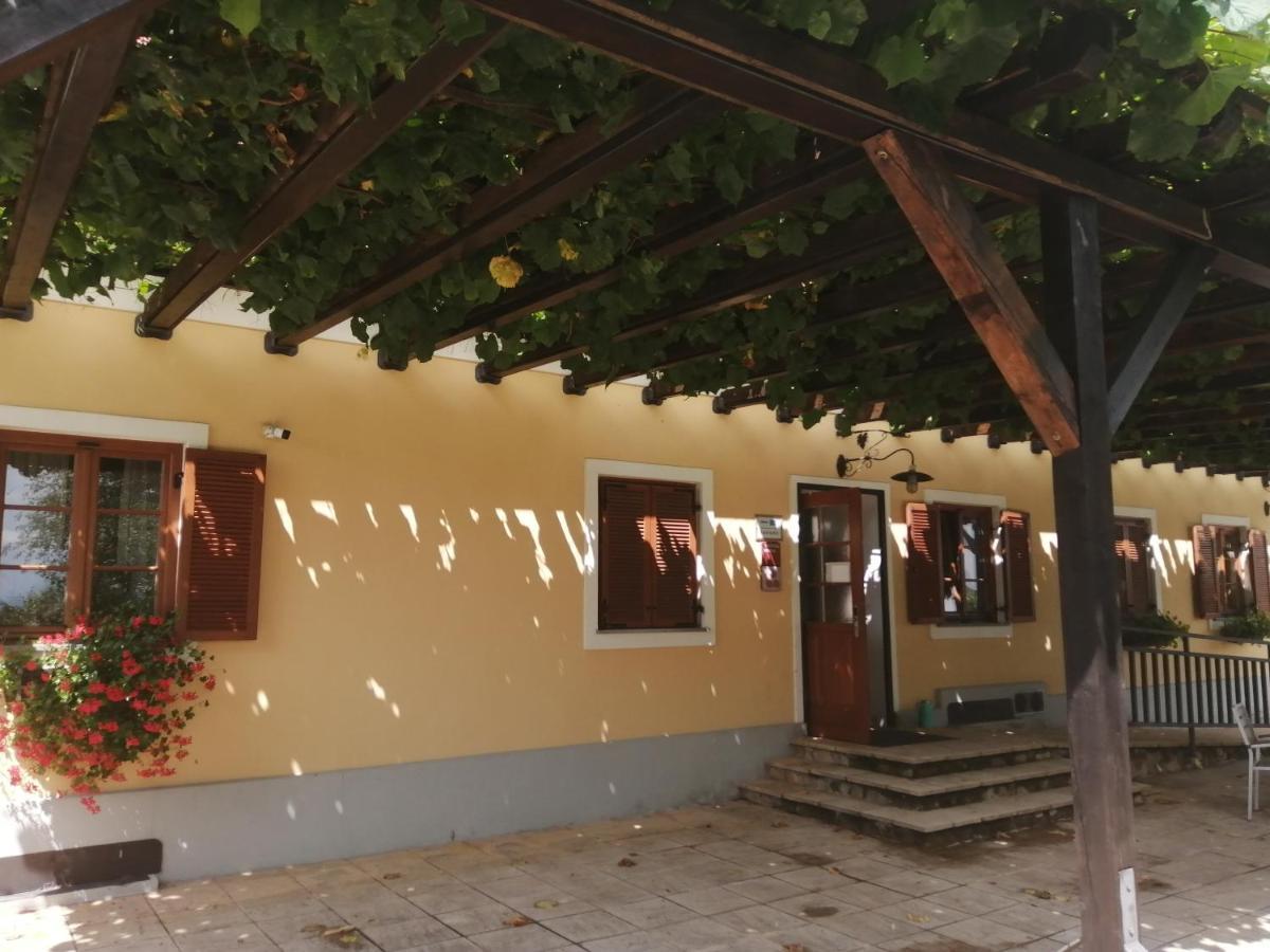 Apartmaji Svetinje Apartment Ivanjkovci Екстериор снимка