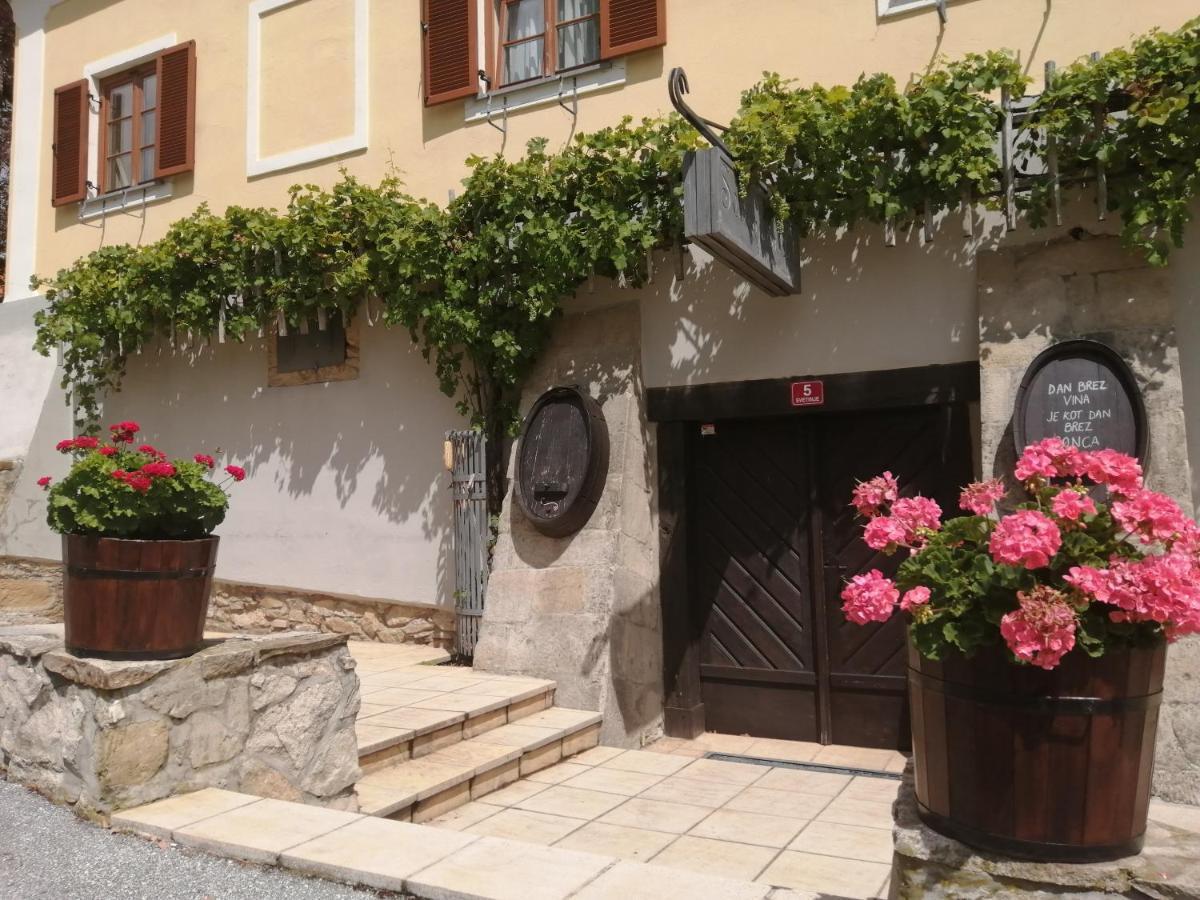 Apartmaji Svetinje Apartment Ivanjkovci Екстериор снимка