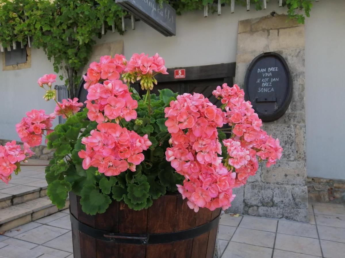 Apartmaji Svetinje Apartment Ivanjkovci Екстериор снимка